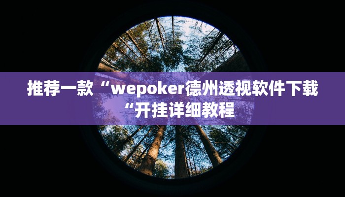推荐一款“wepoker德州透视软件下载“开挂详细教程