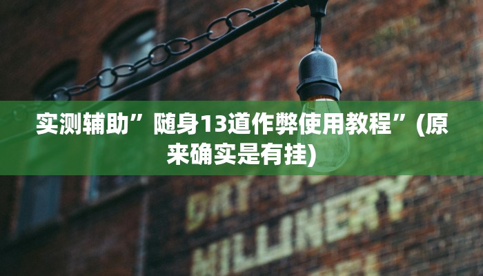 实测辅助”随身13道作弊使用教程”(原来确实是有挂)