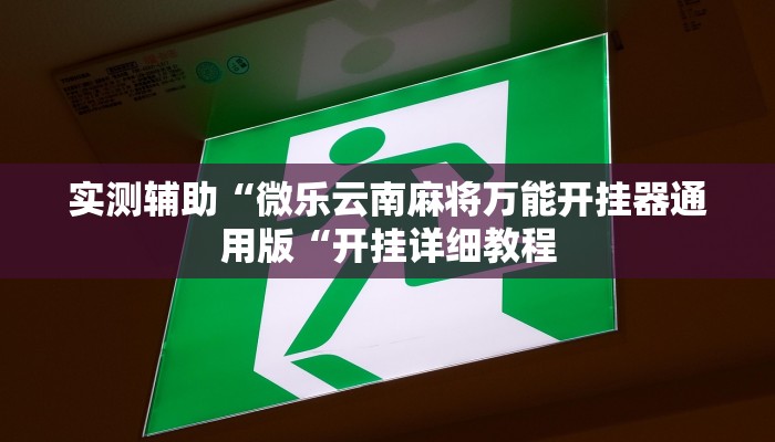 实测辅助”激情十三张开挂怎么买”(原来确实是有挂)