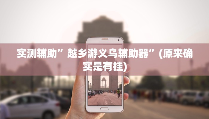 实测辅助”越乡游义乌辅助器”(原来确实是有挂)