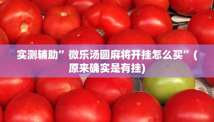 实测辅助”微乐汤圆麻将开挂怎么买”(原来确实是有挂)
