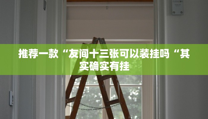 推荐一款“友间十三张可以装挂吗“其实确实有挂