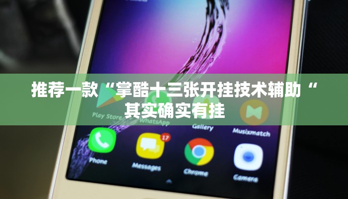 推荐一款“掌酷十三张开挂技术辅助“其实确实有挂