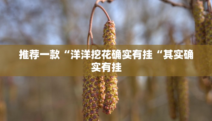 推荐一款“洋洋挖花确实有挂“其实确实有挂