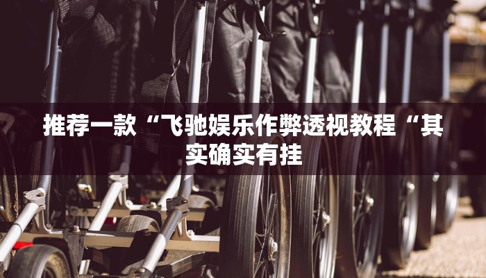 推荐一款“飞驰娱乐作弊透视教程“其实确实有挂