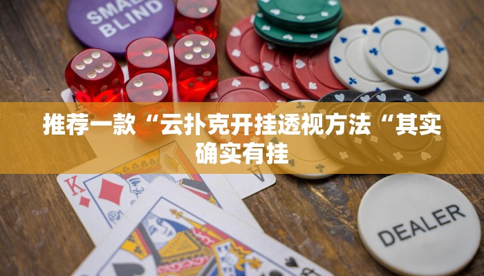 实测辅助”新金龙开挂辅助软件”(原来确实是有挂)