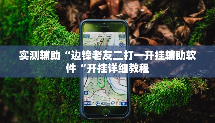 实测辅助“边锋老友二打一开挂辅助软件“开挂详细教程