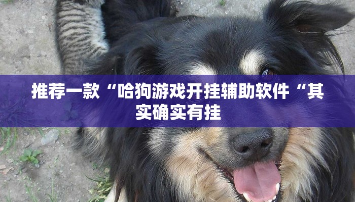 推荐一款“哈狗游戏开挂辅助软件“其实确实有挂