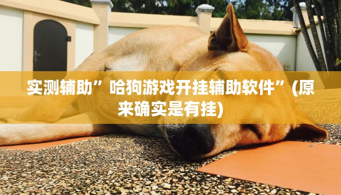 实测辅助”哈狗游戏开挂辅助软件”(原来确实是有挂)