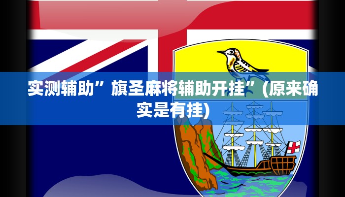 实测辅助”旗圣麻将辅助开挂”(原来确实是有挂)