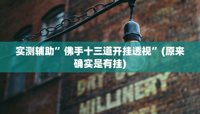 实测辅助”佛手十三道开挂透视”(原来确实是有挂)