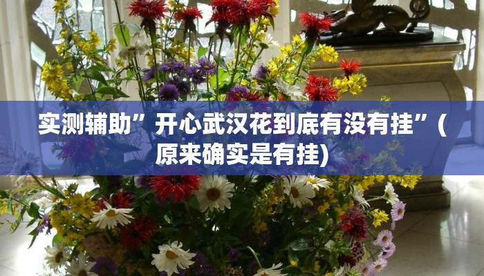 实测辅助”开心武汉花到底有没有挂”(原来确实是有挂)