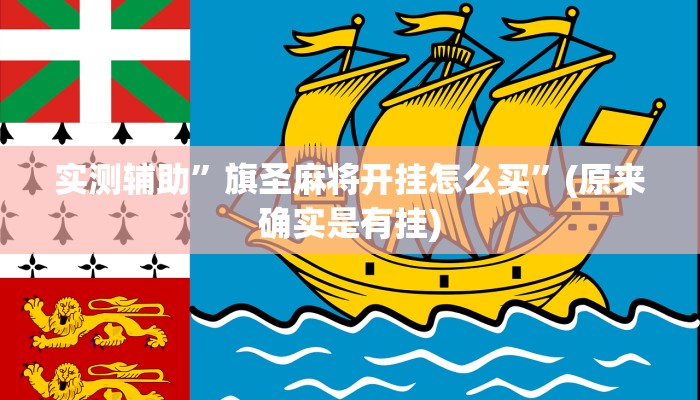 实测辅助”旗圣麻将开挂怎么买”(原来确实是有挂)
