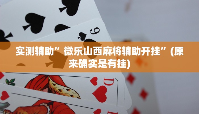 实测辅助”pokerrrr2开挂教程”(原来确实是有挂)