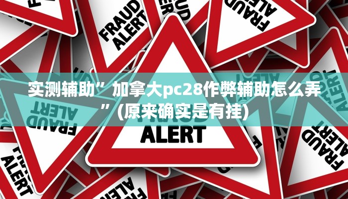 实测辅助”加拿大pc28作弊辅助怎么弄”(原来确实是有挂)