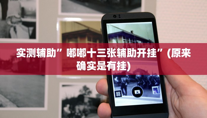 实测辅助”微乐陕西挖坑开挂神器”开挂详细教程