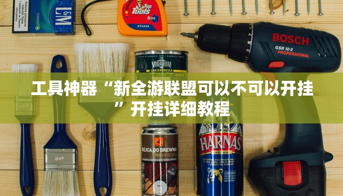 工具神器“新全游联盟可以不可以开挂”开挂详细教程
