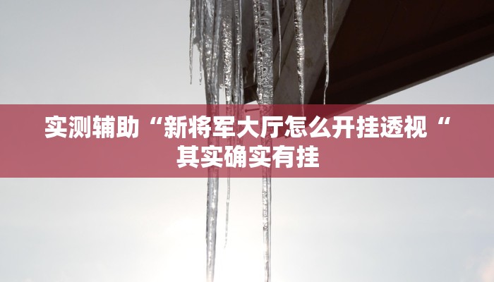 实测辅助“新将军大厅怎么开挂透视“其实确实有挂