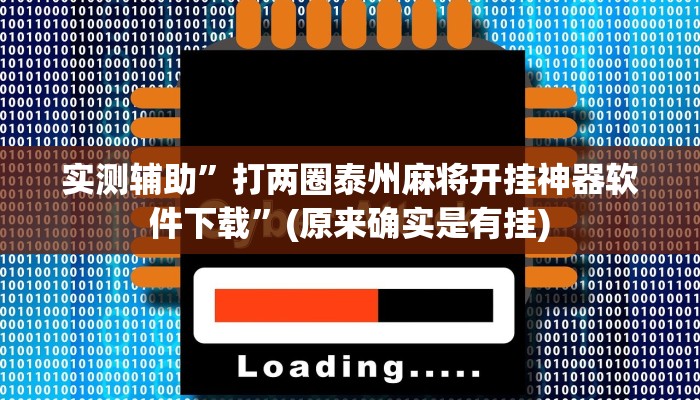 实测辅助”打两圈泰州麻将开挂神器软件下载”(原来确实是有挂)