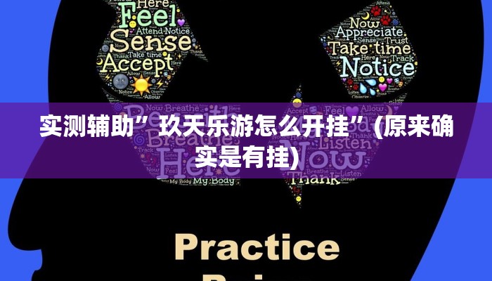 实测辅助”玖天乐游怎么开挂”(原来确实是有挂)