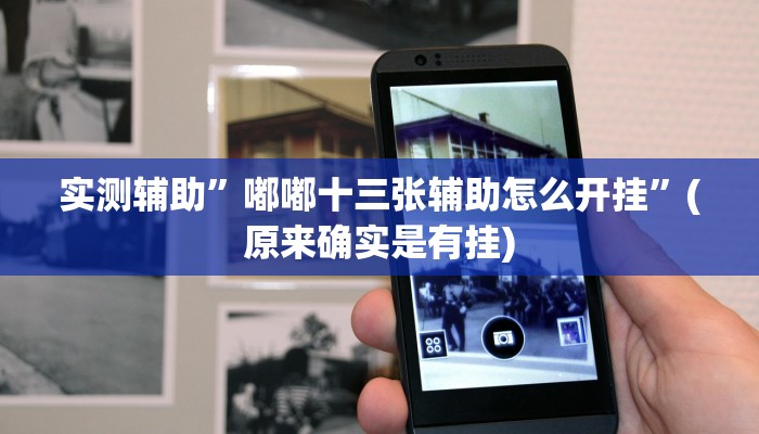 实测辅助”嘟嘟十三张辅助怎么开挂”(原来确实是有挂)
