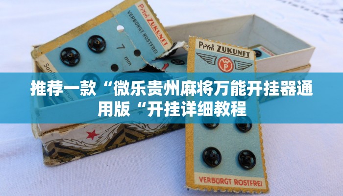 实测辅助”阿坝州斗十四插件有没有”(原来确实是有挂)