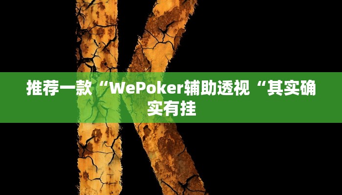 实测辅助”山西扣点点麻将通用挂”(原来确实是有挂)