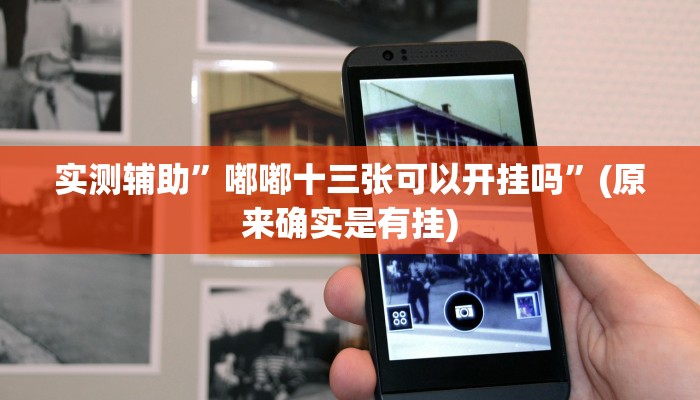 实测辅助”嘟嘟十三张可以开挂吗”(原来确实是有挂)