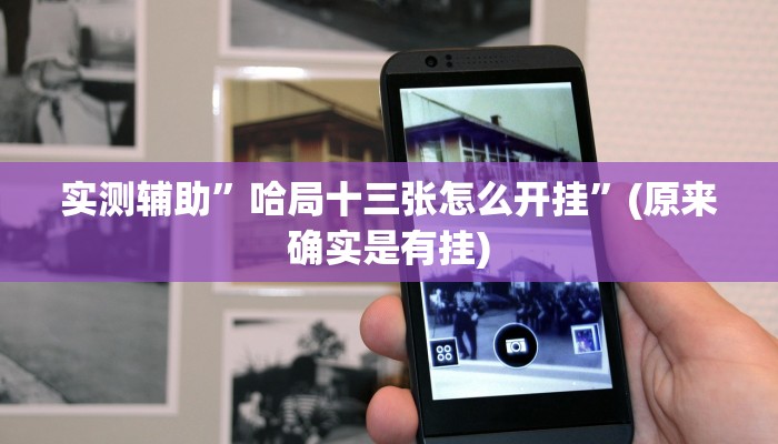实测辅助”哈局十三张怎么开挂”(原来确实是有挂)