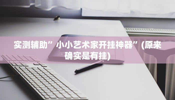 实测辅助”小小艺术家开挂神器”(原来确实是有挂)