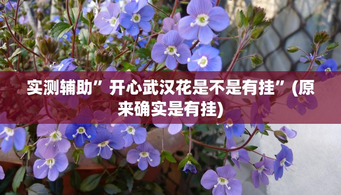 实测辅助”开心武汉花是不是有挂”(原来确实是有挂)