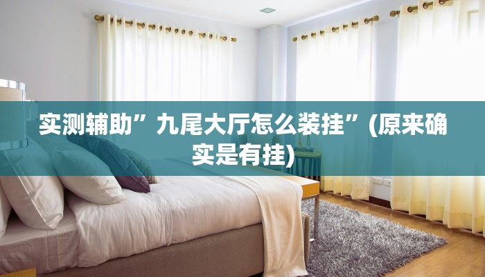 实测辅助”九尾大厅怎么装挂”(原来确实是有挂)