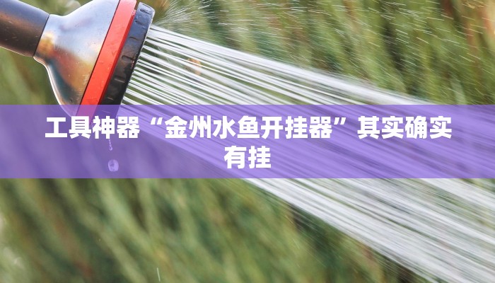 工具神器“金州水鱼开挂器”其实确实有挂