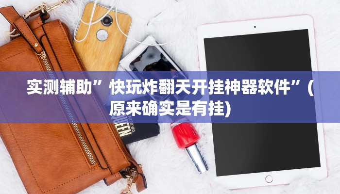 实测辅助”快玩炸翻天开挂神器软件”(原来确实是有挂)