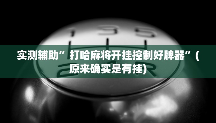 实测辅助”打哈麻将开挂控制好牌器”(原来确实是有挂)