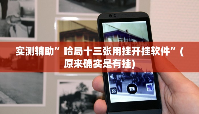 实测辅助”哈局十三张用挂开挂软件”(原来确实是有挂)