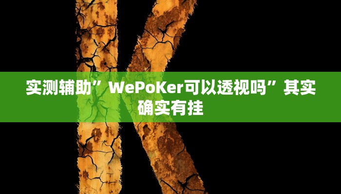 实测辅助”WePoKer可以透视吗”其实确实有挂