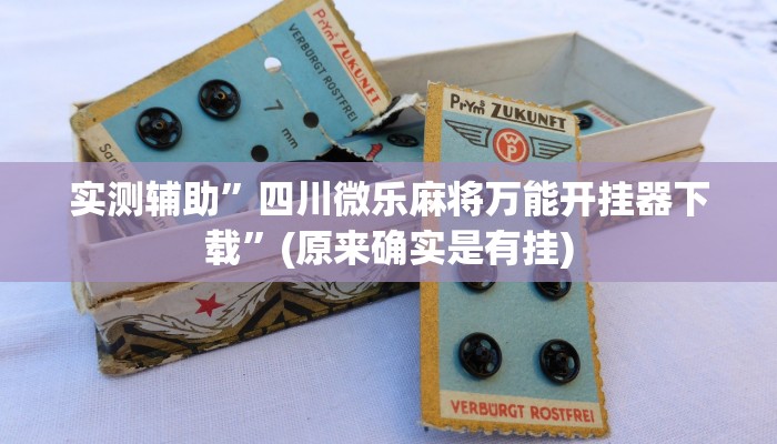 实测辅助”四川微乐麻将万能开挂器下载”(原来确实是有挂)