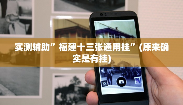 实测辅助”福建十三张通用挂”(原来确实是有挂)
