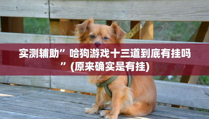 实测辅助”哈狗游戏十三道到底有挂吗”(原来确实是有挂)