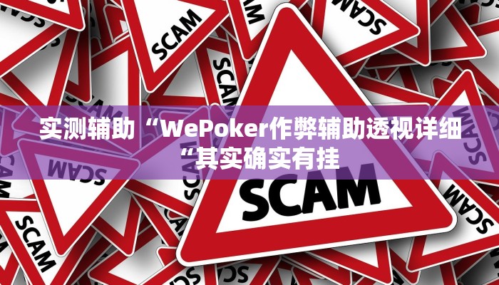实测辅助“WePoker作弊辅助透视详细“其实确实有挂