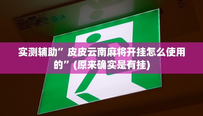 实测辅助”皮皮云南麻将开挂怎么使用的”(原来确实是有挂)