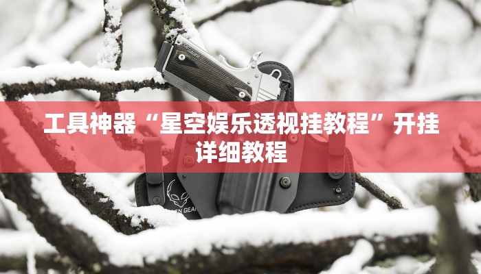 工具神器“星空娱乐透视挂教程”开挂详细教程