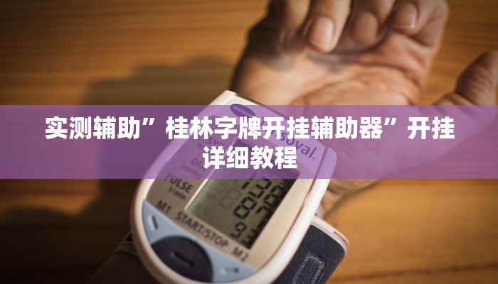 实测辅助”桂林字牌开挂辅助器”开挂详细教程