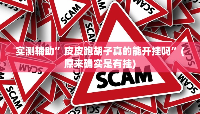 实测辅助”皮皮跑胡子真的能开挂吗”(原来确实是有挂)