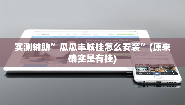 实测辅助”瓜瓜丰城挂怎么安装”(原来确实是有挂)