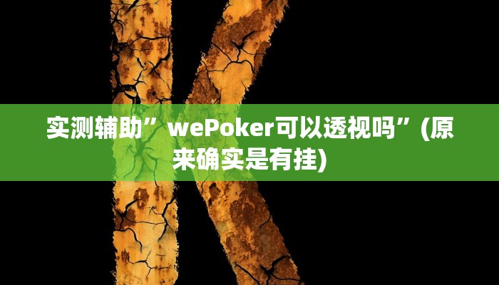 实测辅助”wePoker可以透视吗”(原来确实是有挂)