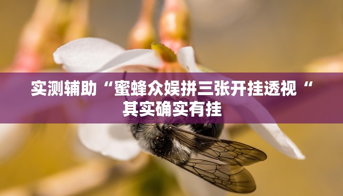 实测辅助“蜜蜂众娱拼三张开挂透视“其实确实有挂