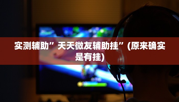 实测辅助”天天微友辅助挂”(原来确实是有挂)