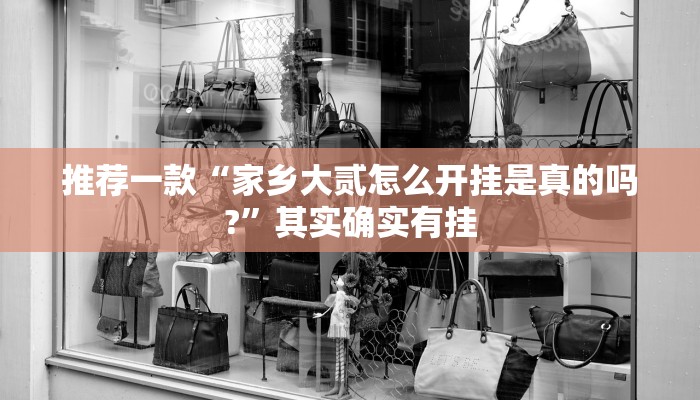 推荐一款“家乡大贰怎么开挂是真的吗?”其实确实有挂
